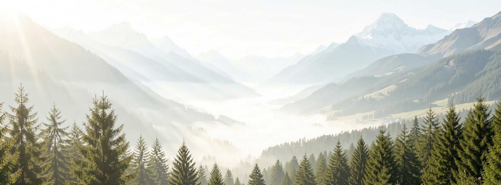 Paysage de Grenoble sous la brume